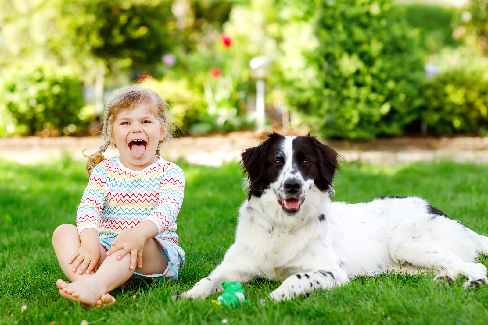 How to Keep Your Child’s Teeth and Gums Healthy